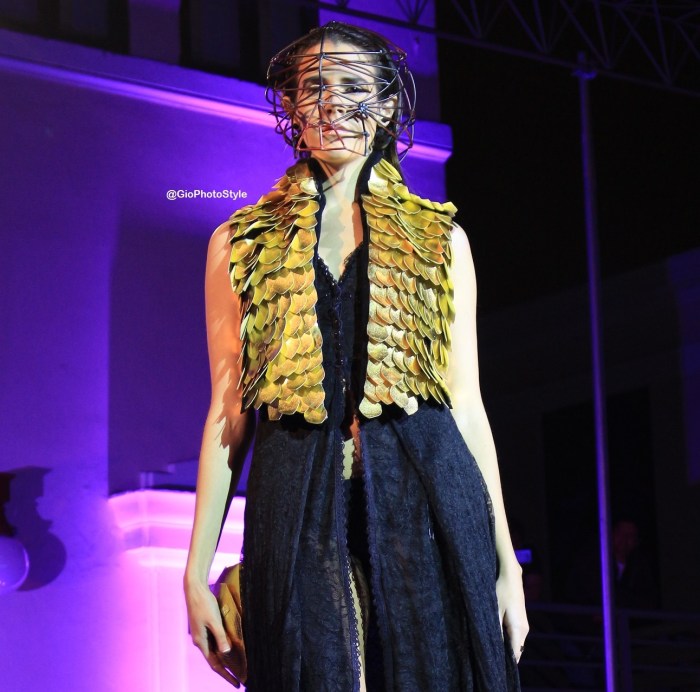 XI Festival Flashmode 2016 - GioPhotoStyle