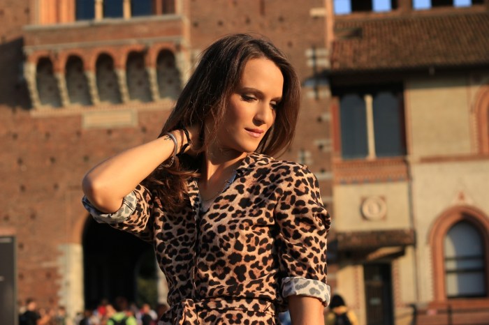 IMG_5505 - Castello Sforzesco - Photo by Giovanna Galleno